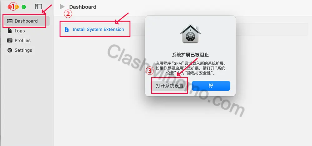 打开Sing-Box的Dashboard页面,先允许必要的网络访问权限